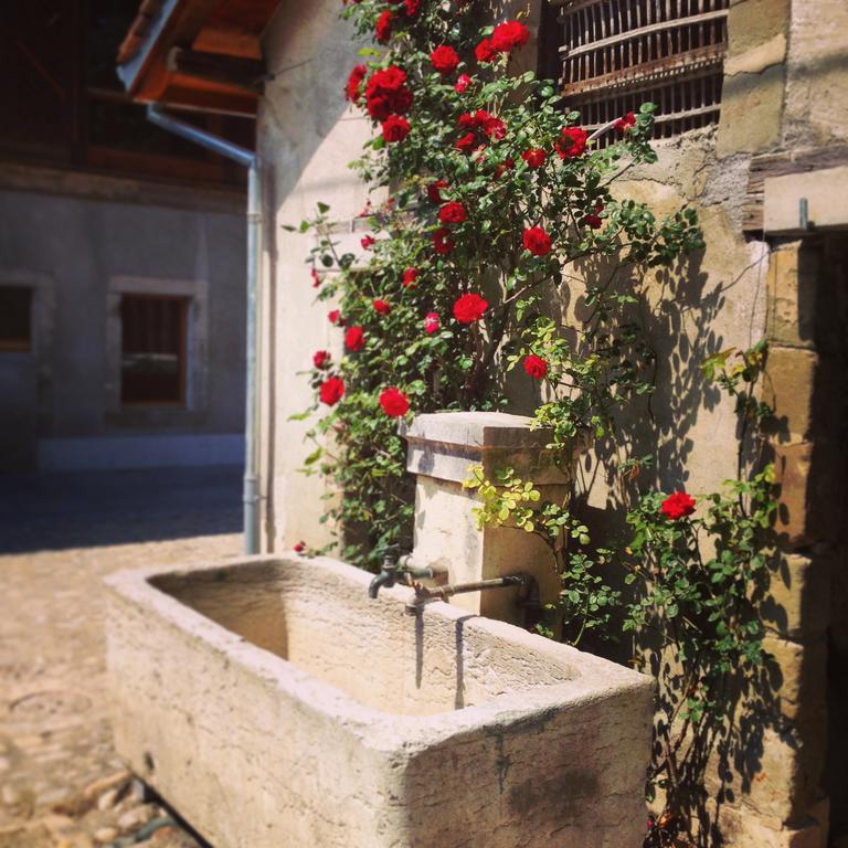 La Ferme Du Lignon Hotel Genebra Exterior foto